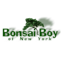 Bonsai Boy of New York