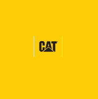 Cat Footwear