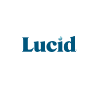Lucid Mattress