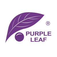 Purple Leaf